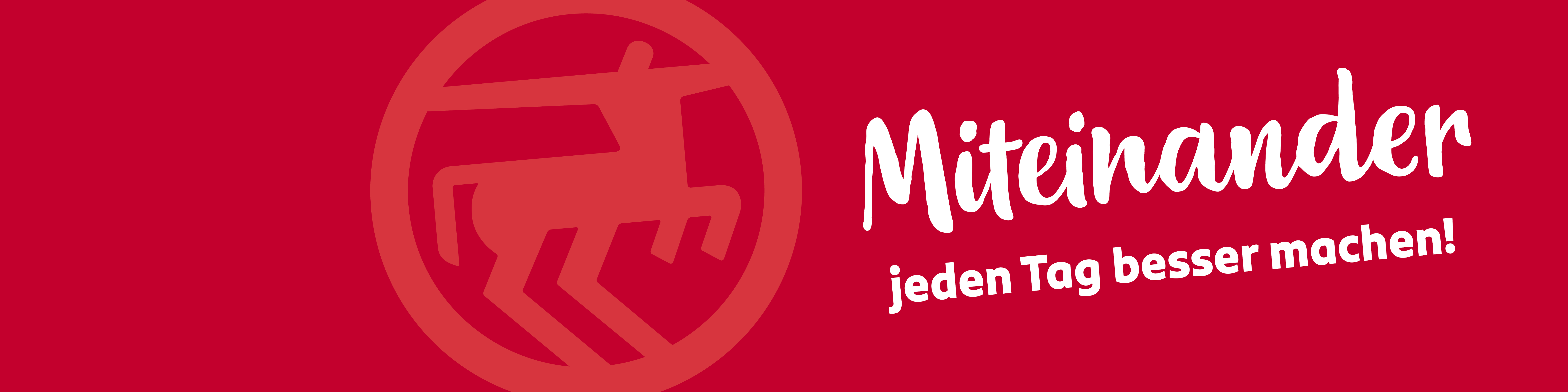 Dirk Rossmann GmbH-cover-image